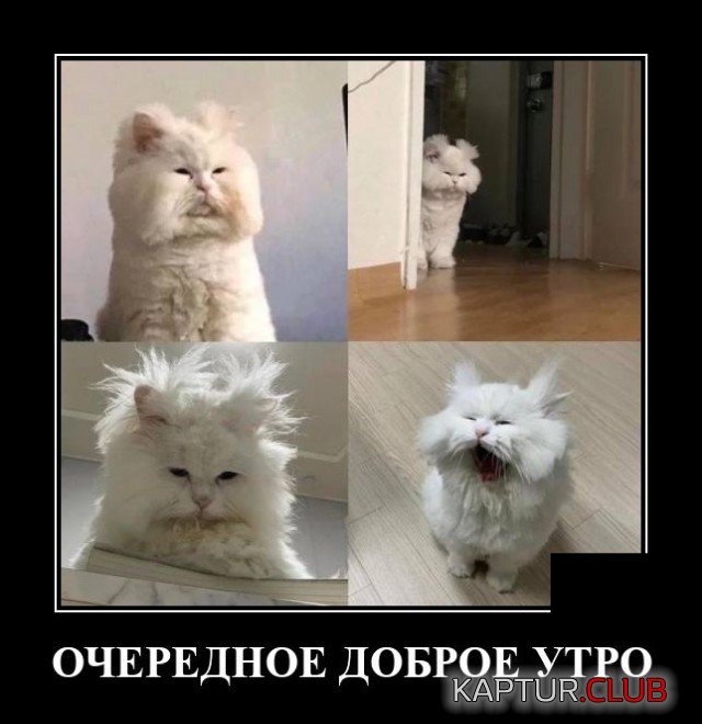 1602775073_demotivatory_18.jpg | Рено Каптур Клуб Россия | Форум KAPTUR.SU