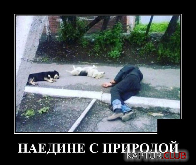 1603120467_demotivatory_20.jpg | Рено Каптур Клуб Россия | Форум KAPTUR.SU