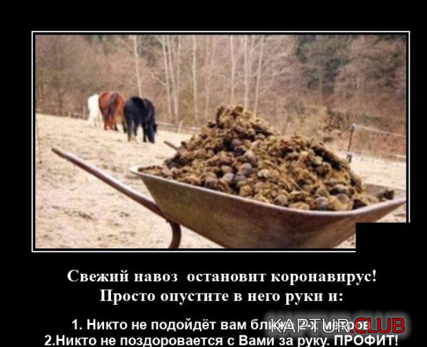 1603285258_demotivatory_12.jpg | Рено Каптур Клуб Россия | Форум KAPTUR.SU