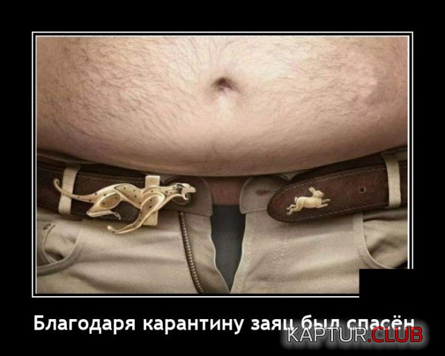 1603377580_demotivatory_19.jpg | Рено Каптур Клуб Россия | Форум KAPTUR.SU