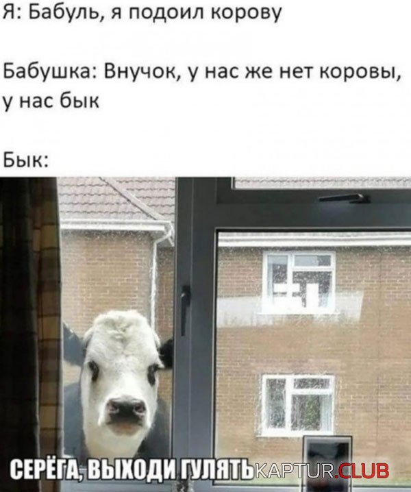1603468480_podb_vecher_12.jpg | Рено Каптур Клуб Россия | Форум KAPTUR.SU