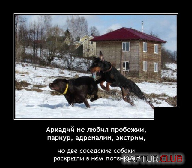 1603724737_demotivatory_02.jpg | Рено Каптур Клуб Россия | Форум KAPTUR.SU