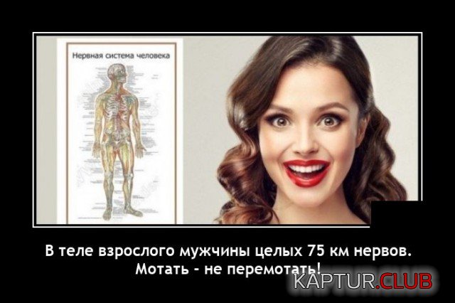 1603724768_demotivatory_18.jpg | Рено Каптур Клуб Россия | Форум KAPTUR.SU