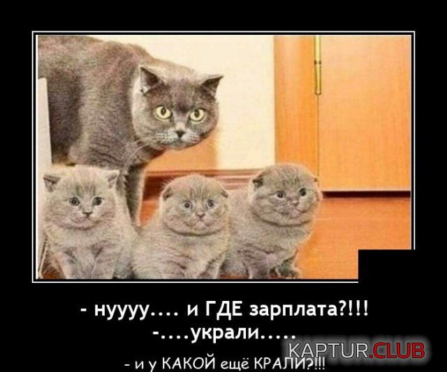 1603806506_demotivatory_05.jpg | Рено Каптур Клуб Россия | Форум KAPTUR.SU