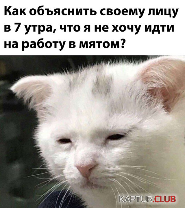1603968892_podb_28.jpg | Рено Каптур Клуб Россия | Форум KAPTUR.SU