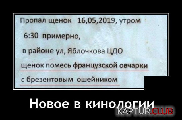 1604045859_1603892770_demotivatory_12.jpg | Рено Каптур Клуб Россия | Форум KAPTUR.SU