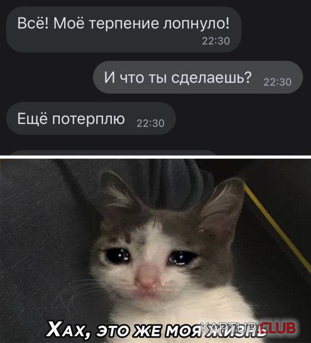 1604304578_1604074282_podb_vecher_13.jpg | Рено Каптур Клуб Россия | Форум KAPTUR.SU