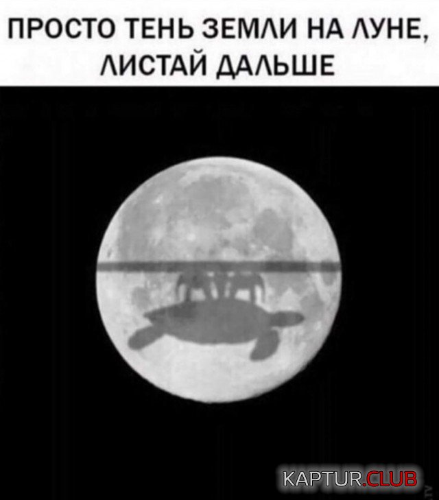 1605015588_203432_2_trinixy_ru.jpg | Рено Каптур Клуб Россия | Форум KAPTUR.SU
