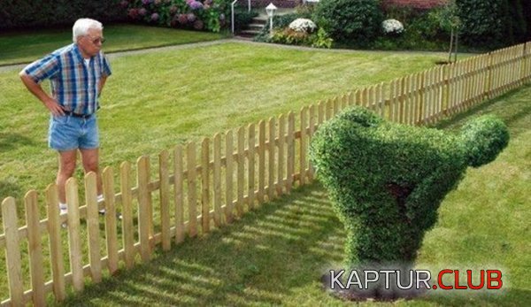 1605015588_203432_2_trinixy_ru.jpg | Рено Каптур Клуб Россия | Форум KAPTUR.SU