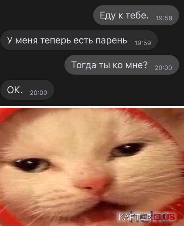 1605282972_podb_vecher_10.jpg | Рено Каптур Клуб Россия | Форум KAPTUR.SU