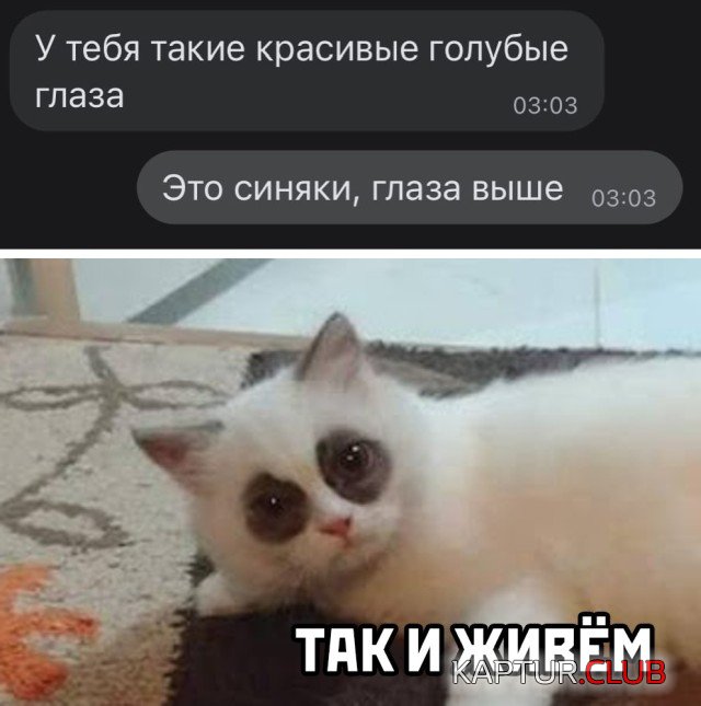 1605869966_podb_04.jpg | Рено Каптур Клуб Россия | Форум KAPTUR.SU