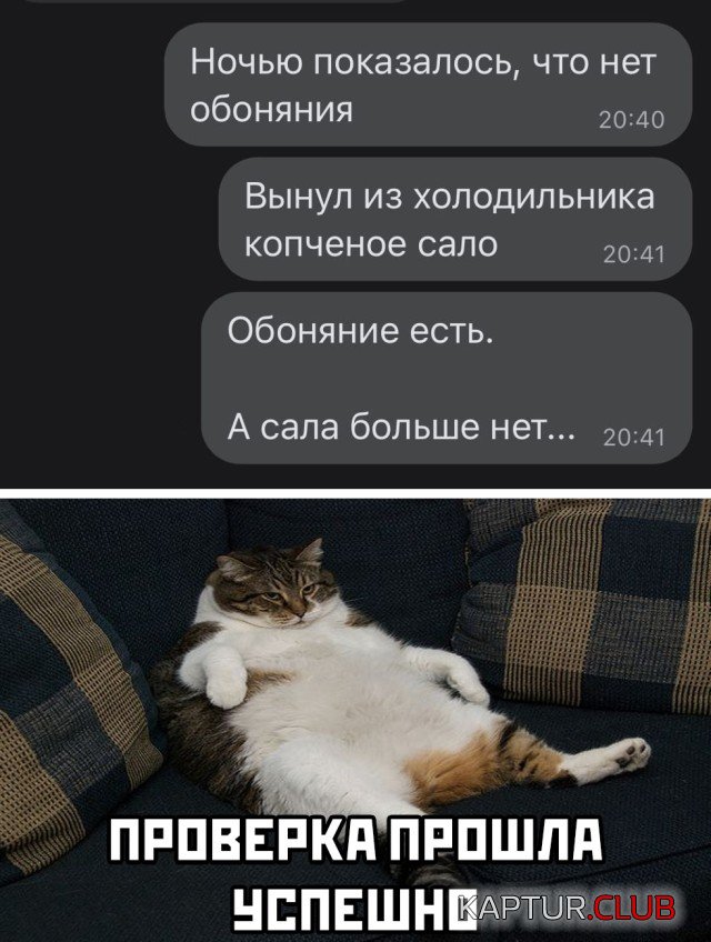 1606407167_podb_vecher_21.jpg | Рено Каптур Клуб Россия | Форум KAPTUR.SU
