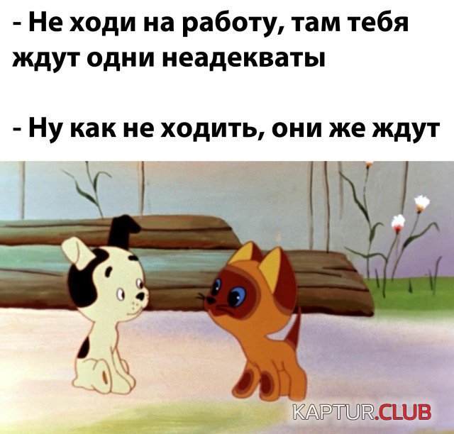 1607072661_204758_18_trinixy_ru.jpg | Рено Каптур Клуб Россия | Форум KAPTUR.SU