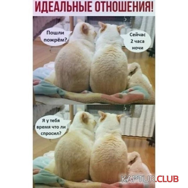 1607078471_204657_3_trinixy_ru.jpg | Рено Каптур Клуб Россия | Форум KAPTUR.SU