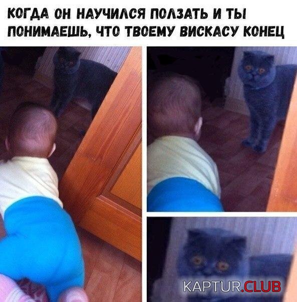 1607078599_204697_11_trinixy_ru.jpg | Рено Каптур Клуб Россия | Форум KAPTUR.SU