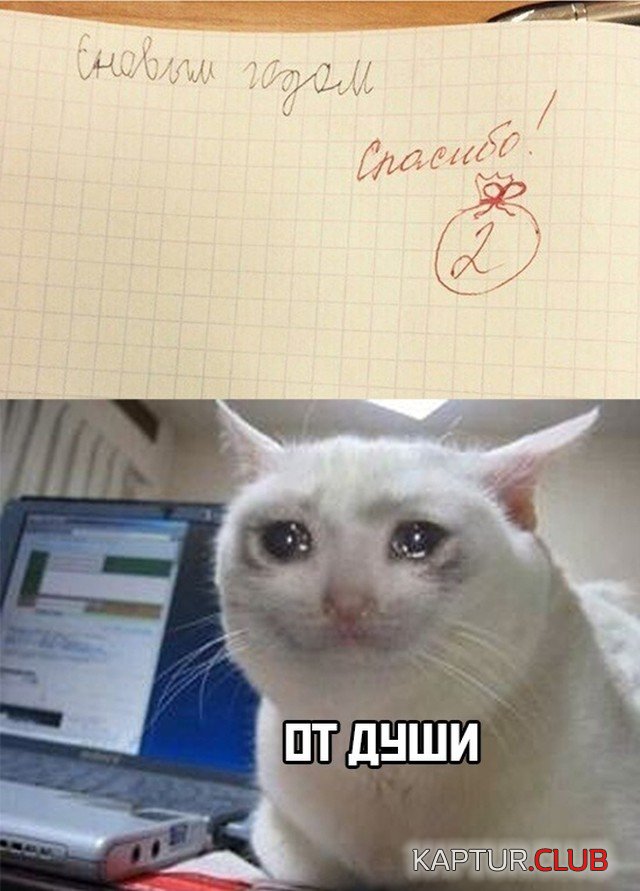 1607360303_podb_vecher_25.jpg | Рено Каптур Клуб Россия | Форум KAPTUR.SU