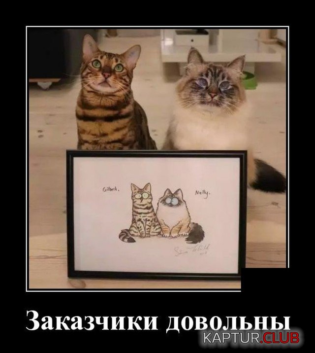 1607690503_1607534758_demotivatory_05.jpg | Рено Каптур Клуб Россия | Форум KAPTUR.SU
