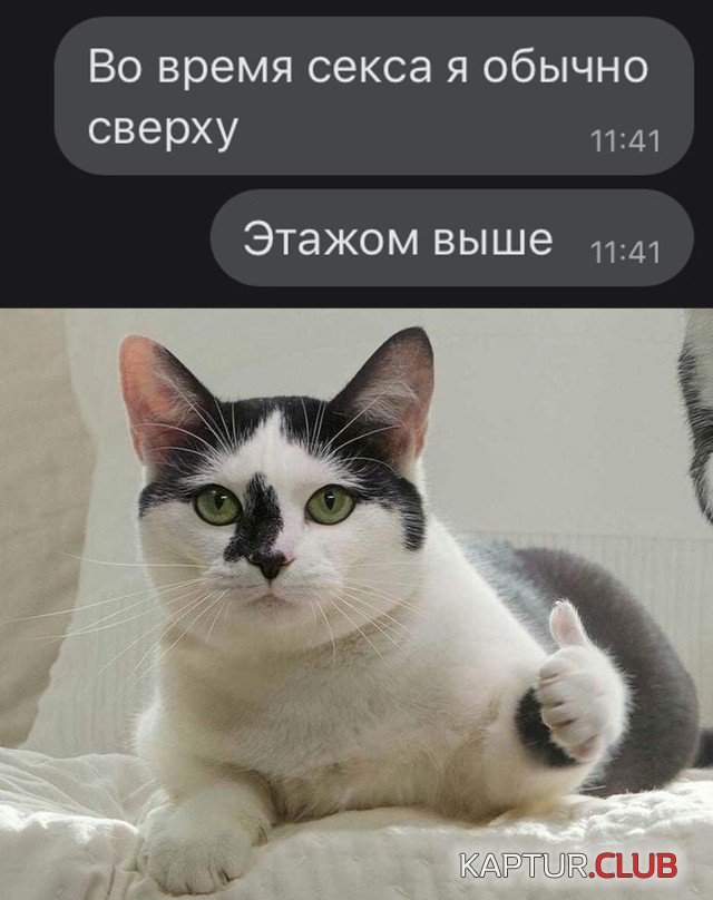 1607692564_1607538948_podb_vecher_24.jpg | Рено Каптур Клуб Россия | Форум KAPTUR.SU
