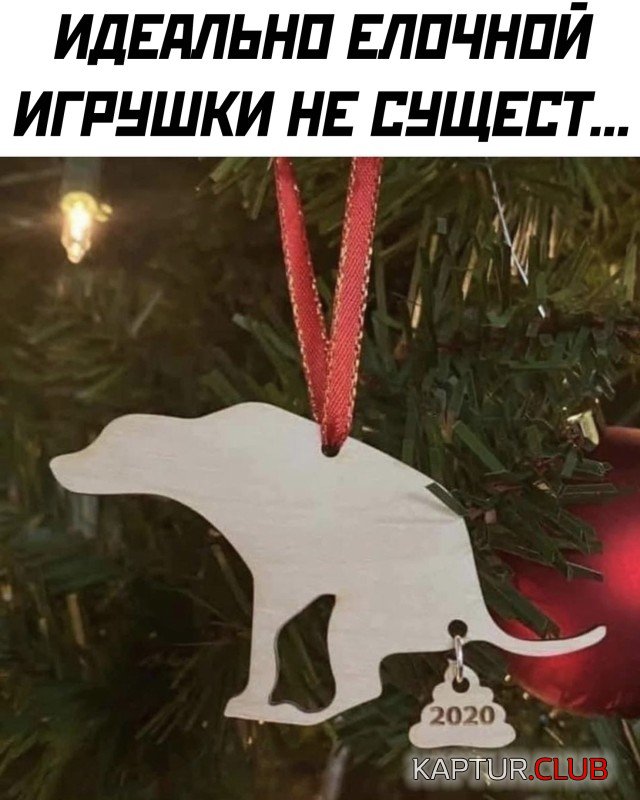 1607963364_podb_vecher_27.jpg | Рено Каптур Клуб Россия | Форум KAPTUR.SU