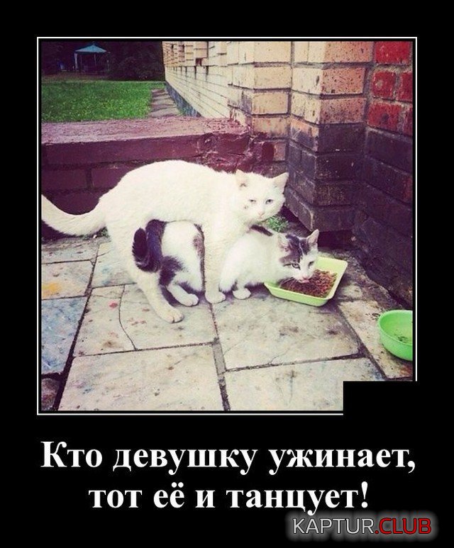 1608021948_205230_20_trinixy_ru.jpg | Рено Каптур Клуб Россия | Форум KAPTUR.SU