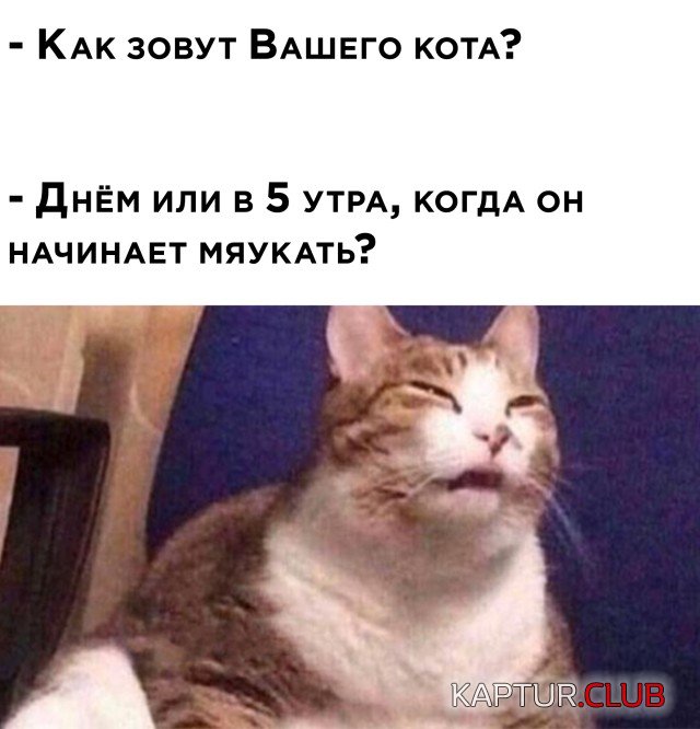 1608471958_1608224242_podb_vecher_01.jpg | Рено Каптур Клуб Россия | Форум KAPTUR.SU