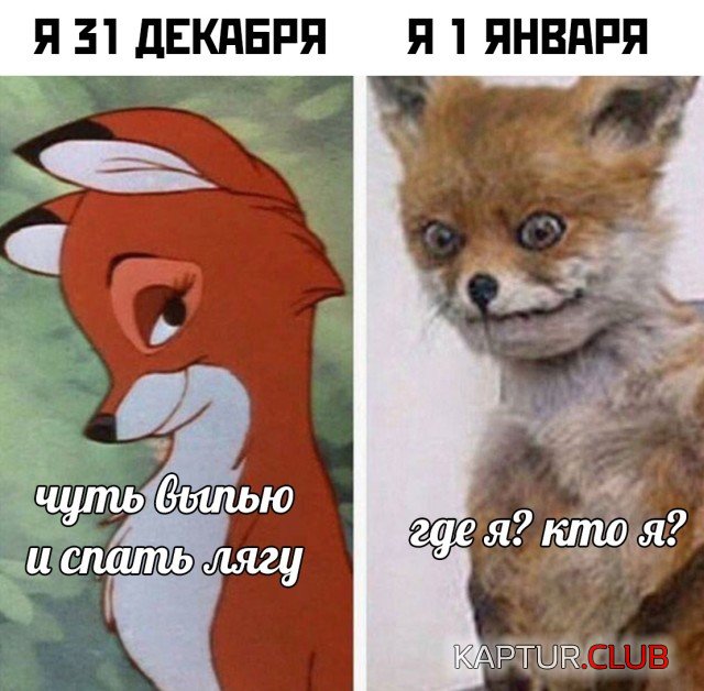 1609411637_podb_25.jpg | Рено Каптур Клуб Россия | Форум KAPTUR.SU