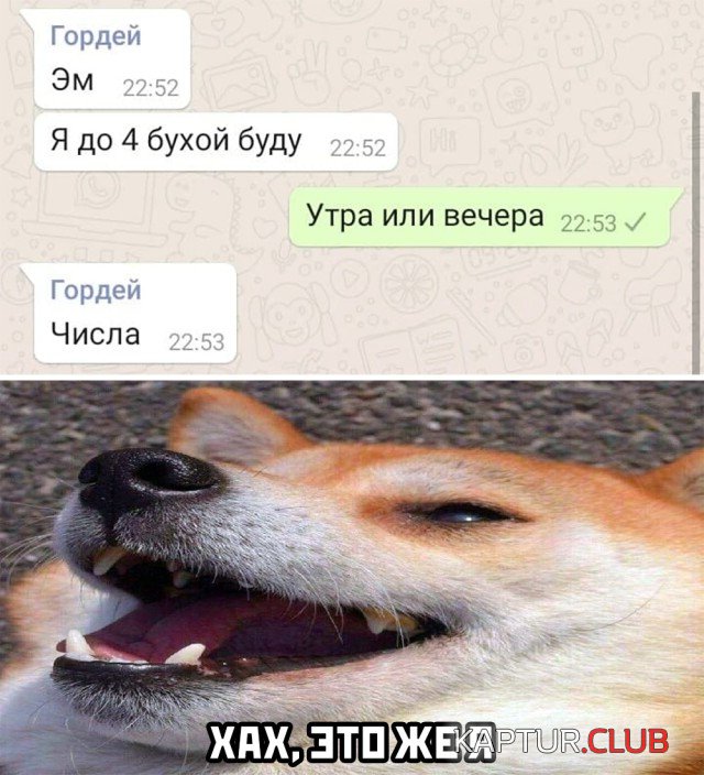 1609758378_podb_23.jpg | Рено Каптур Клуб Россия | Форум KAPTUR.SU