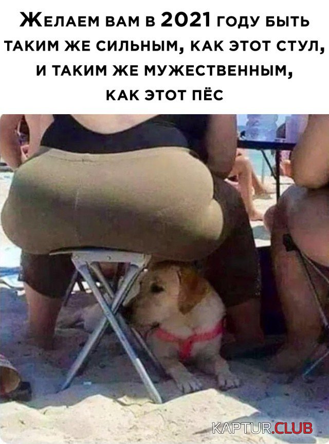 1609849828_podb_30.jpg | Рено Каптур Клуб Россия | Форум KAPTUR.SU