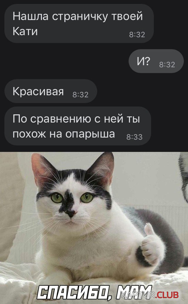1609928546_podb_29.jpg | Рено Каптур Клуб Россия | Форум KAPTUR.SU