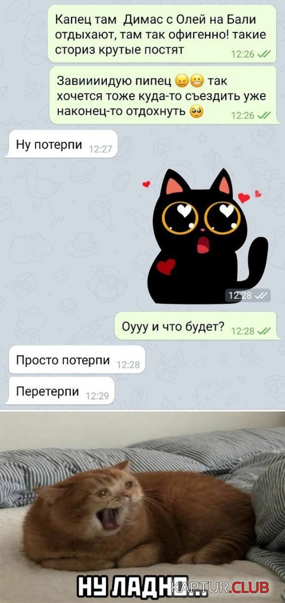 1610022897_podb_28.jpg | Рено Каптур Клуб Россия | Форум KAPTUR.SU