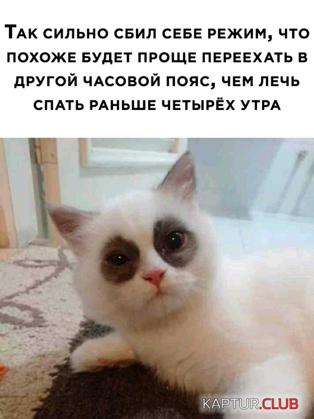 1610103109_1610022865_podb_25.jpg | Рено Каптур Клуб Россия | Форум KAPTUR.SU