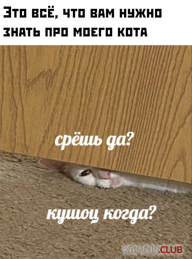 1611159769_podb_vecher_28.jpg | Рено Каптур Клуб Россия | Форум KAPTUR.SU