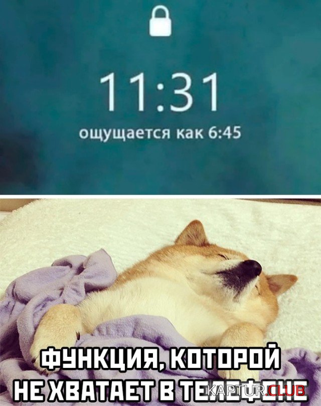 1612283547_podb_vecher_29.jpg | Рено Каптур Клуб Россия | Форум KAPTUR.SU