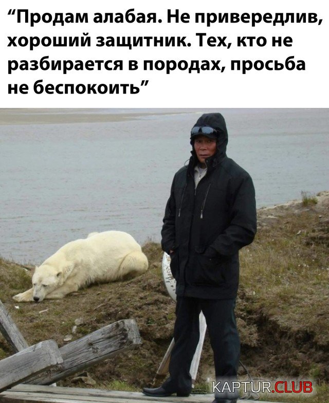 1612882269_podb_vecher_01.jpg | Рено Каптур Клуб Россия | Форум KAPTUR.SU