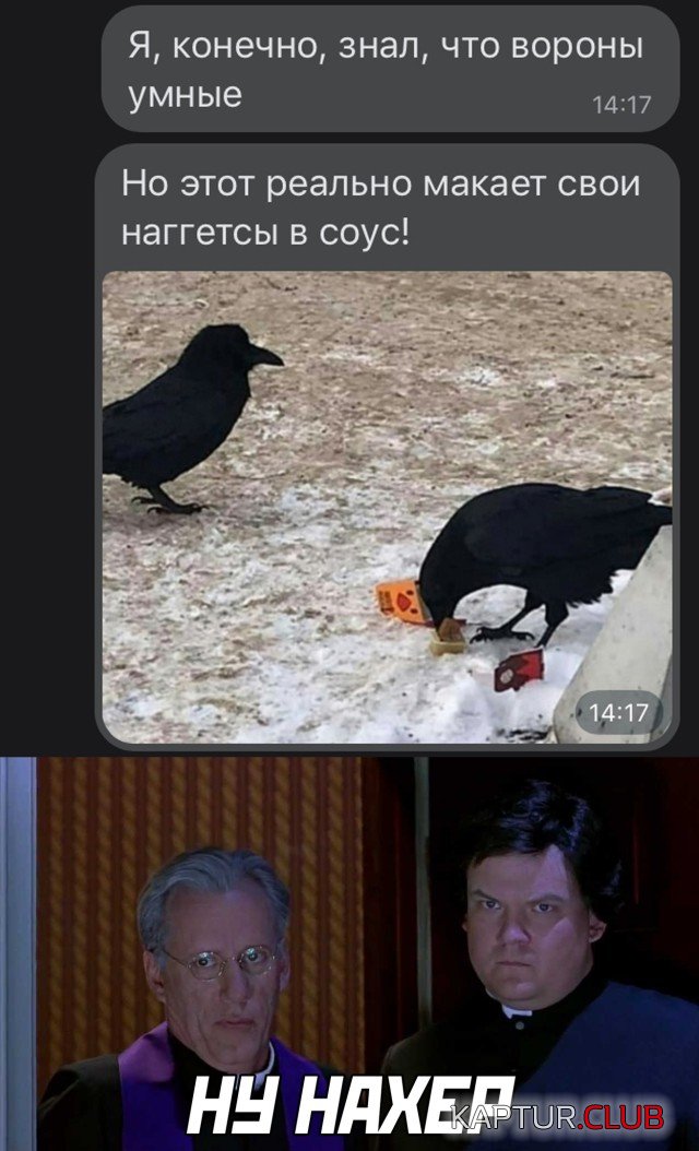 1613660332_podb_vecher_01.jpg | Рено Каптур Клуб Россия | Форум KAPTUR.SU