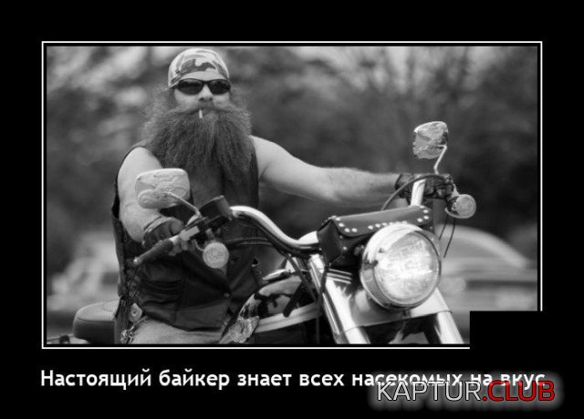 1613914226_208249_3_trinixy_ru.jpg | Рено Каптур Клуб Россия | Форум KAPTUR.SU