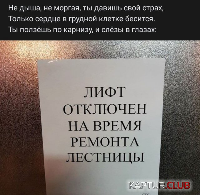 1613916185_208234_13_trinixy_ru.jpg | Рено Каптур Клуб Россия | Форум KAPTUR.SU