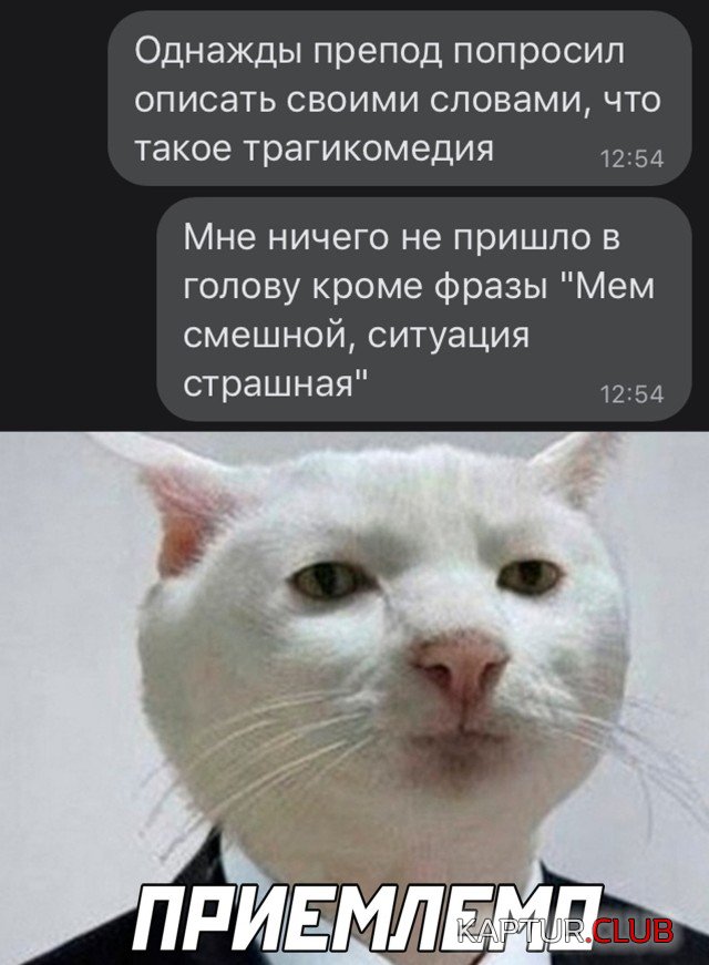 1614268147_podb_vecher_02.jpg | Рено Каптур Клуб Россия | Форум KAPTUR.SU