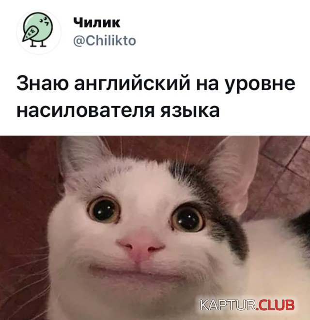 1615210039_podb_vecher_21.jpg | Рено Каптур Клуб Россия | Форум KAPTUR.SU