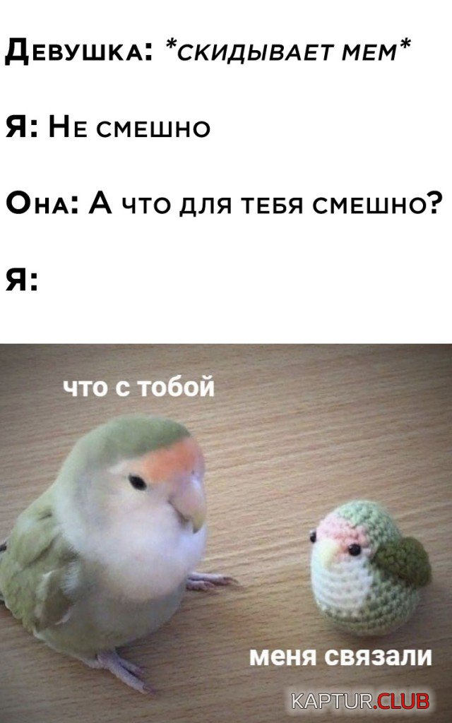 1615210065_podb_vecher_30.jpg | Рено Каптур Клуб Россия | Форум KAPTUR.SU