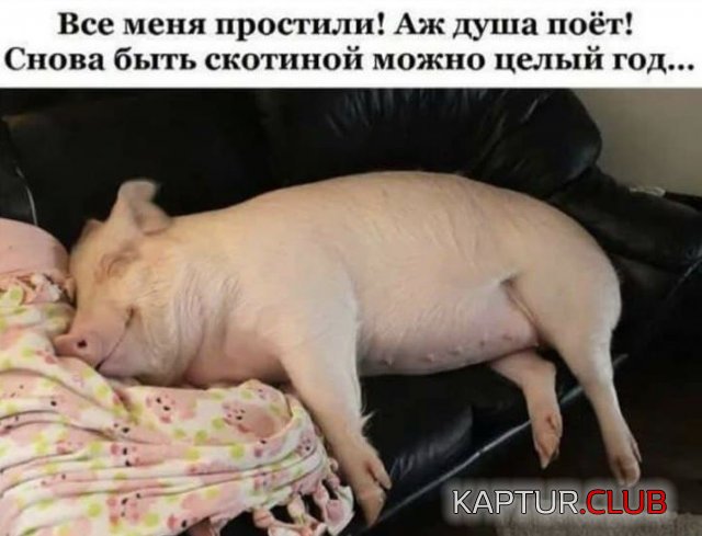 1615879271_209386_13_trinixy_ru.jpg | Рено Каптур Клуб Россия | Форум KAPTUR.SU