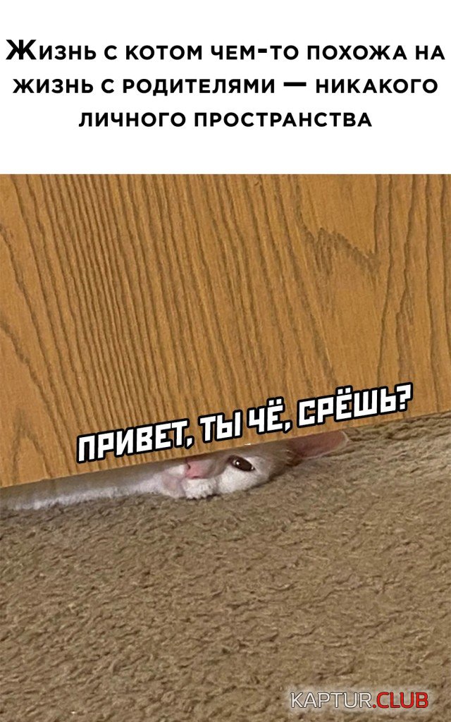 1616083005_podb_vecher_29.jpg | Рено Каптур Клуб Россия | Форум KAPTUR.SU