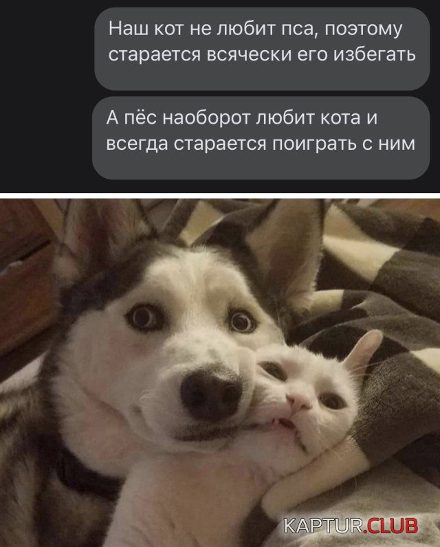 1616775216_podb_vecher_24.jpg | Рено Каптур Клуб Россия | Форум KAPTUR.SU