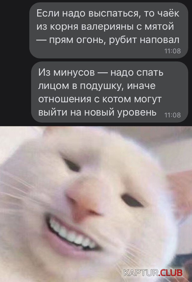 1616775261_podb_vecher_01.jpg | Рено Каптур Клуб Россия | Форум KAPTUR.SU