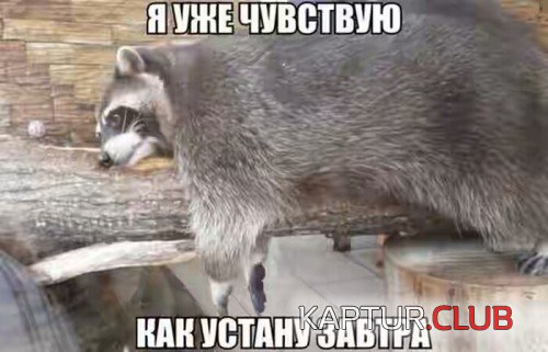 161677990.p.500.500.0.jpg | Рено Каптур Клуб Россия | Форум KAPTUR.SU