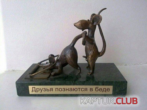 161705772.p.500.500.0.jpg | Рено Каптур Клуб Россия | Форум KAPTUR.SU