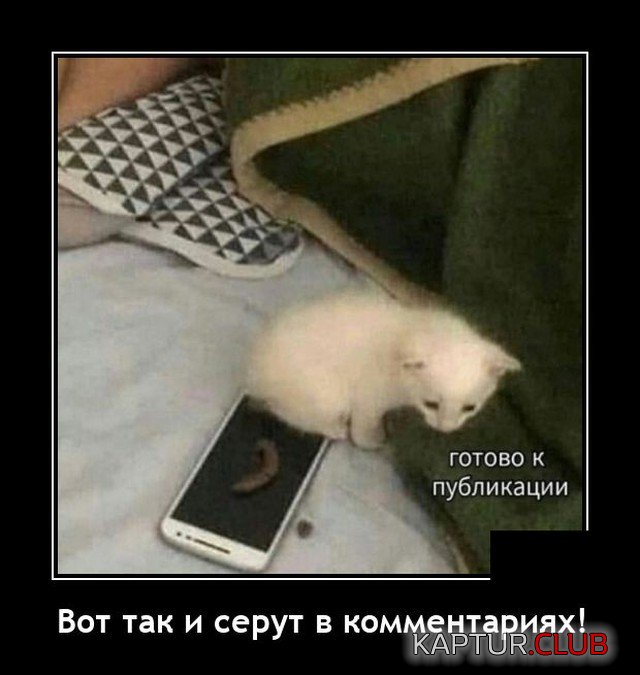 1617378476_demotivatory_09.jpg | Рено Каптур Клуб Россия | Форум KAPTUR.SU