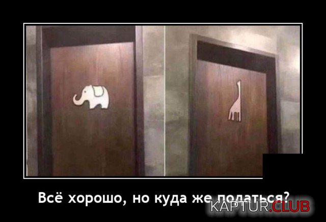 1617889576_demotivatory_17.jpg | Рено Каптур Клуб Россия | Форум KAPTUR.SU