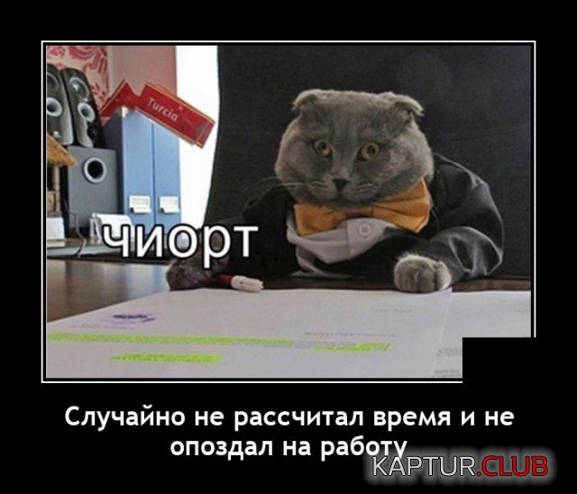 1618218306_1617889530_demotivatory_08.jpg | Рено Каптур Клуб Россия | Форум KAPTUR.SU