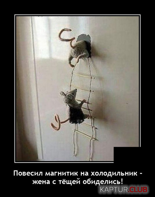 1618234552_demotivatory_04.jpg | Рено Каптур Клуб Россия | Форум KAPTUR.SU
